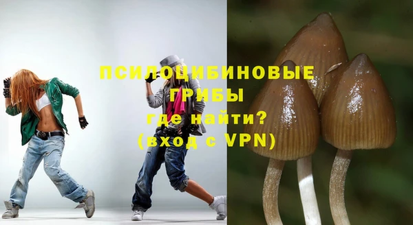 твердый Балахна