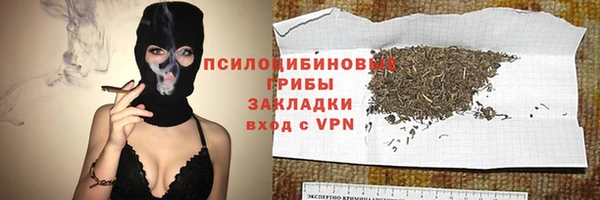 твердый Балахна