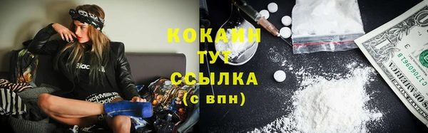 твердый Балахна